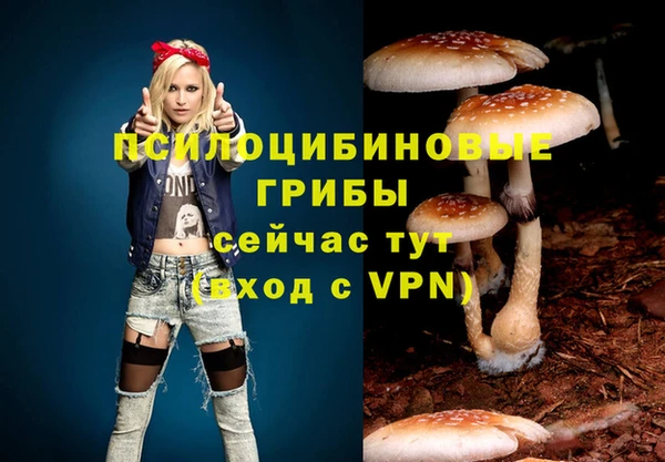 каннабис Баксан
