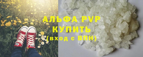 гидра Белокуриха